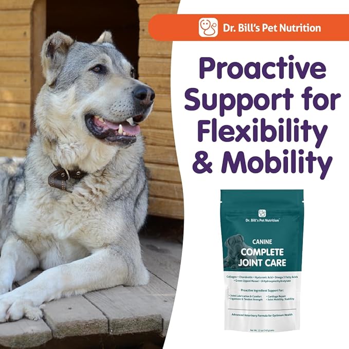 Dr. Bill’s Canine Complete Joint Care – Hip & Joint Supplement for Dogs for Mobility, Muscle Support & Inflammation Relief – Green Lipped Mussel, Chondroitin, Collagen, Omega-3 – Powder, 340g