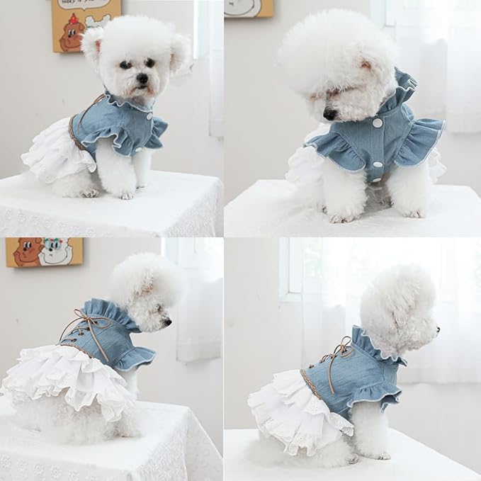 Girl Dog Denim Dress with Flared Sleeves Dog Jeans Jacket Blue White Puppy Clothes for Small Dogs Cat Apparel Cake Skirt Pet Outfit (Blue, Medium)