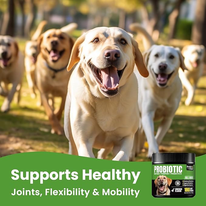 Probiotics for Dogs - Dog Probiotics with 5 Enzymes & 4 Prebiotics for Itchy Skin, Pet Probiotics lab for Digestion & Gut Support, Helps Diarrhea, Yeast Infection, Allergies & Immune System -180 Chews