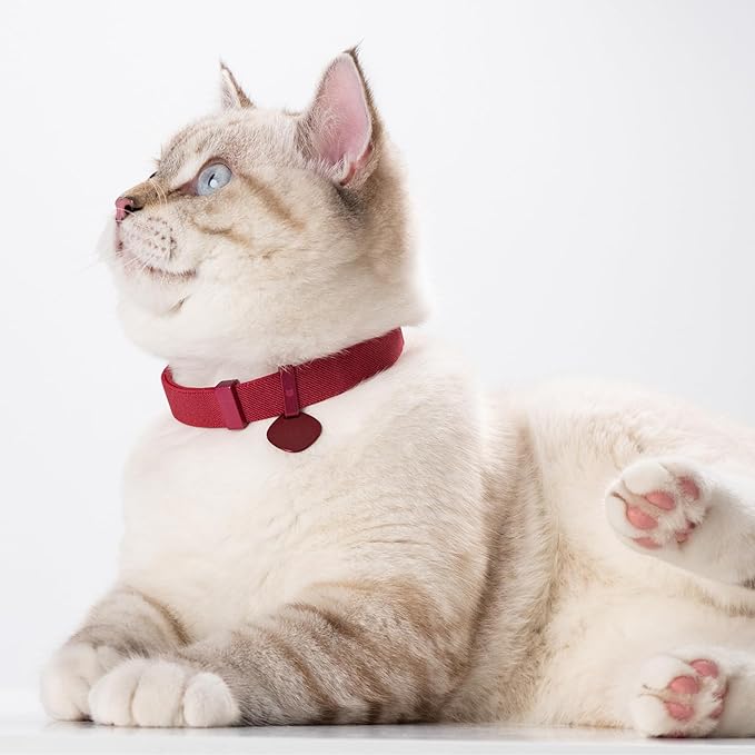 Safety Cat Collar Pro and Tag Set - U.S. IDA Gold Award, Elastic Release Cat Collar Charm Tag, Non Breakaway Cat Collar Adjustable with Charm for Kitten Small Large Cats (Midnight Black, S)