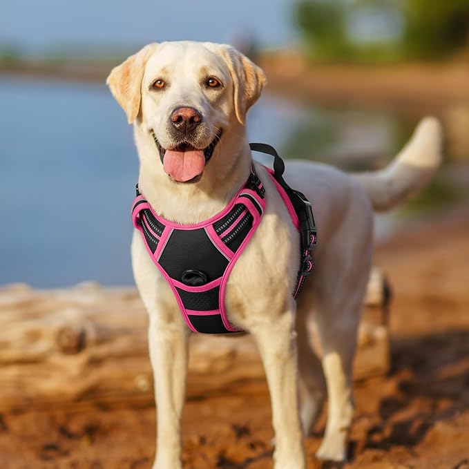 rabbitgoo Dog Harness No Pull with 2 Leash Clips, Adjustable Soft Padded, Reflective Oxford No Choke Pet Vest with Easy Control Handle for Large Dogs, Black & Hot Pink, S