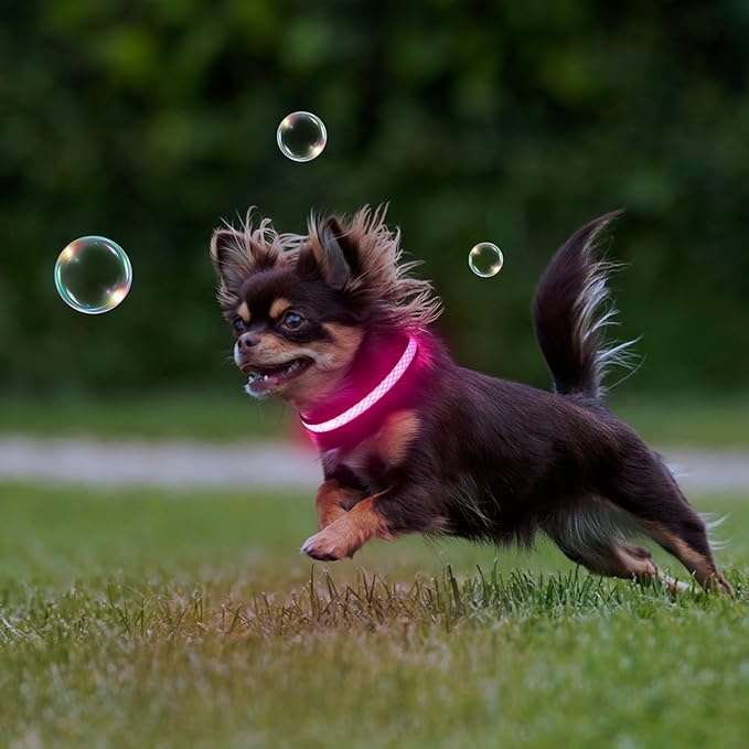 Flashseen LED Cat Collar,Light Up Dog Collar Rechargeable, Dog Lights for Night Walking, Comfortable Soft Mesh Pet Collar Adjustable for Cats Puppy and Small Dogs(Pink, XS)