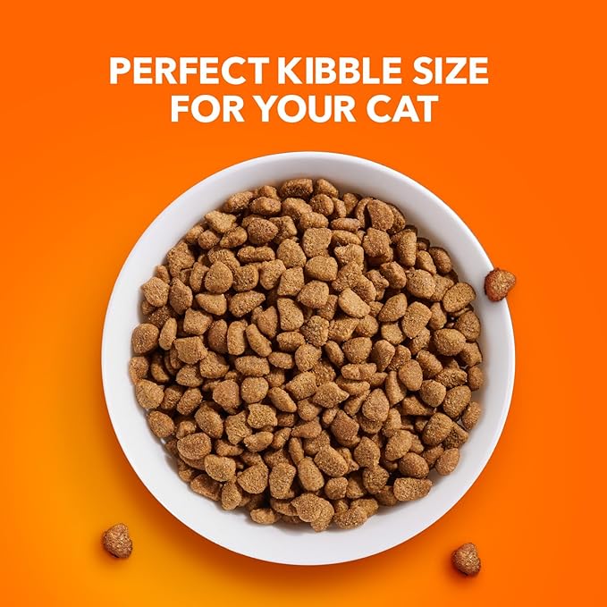 IAMS Proactive Health Adult Urinary Tract Healthy Dry Cat Food with Chicken, 16 lb. Bag