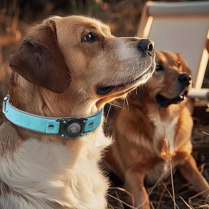 AirTag Dog Collar - Leather Dog Collar with Air Tag Holder | IPX8 Waterproof, Reflective, High - End, Adjustable Soft Padded | Dog GPS Tracker Collars Fit for Medium Large Dogs (Light Blue, M)