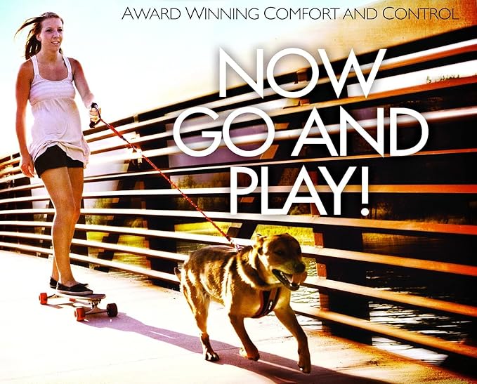 EzyDog CLICK – Dog Seat Belt for Car, Dog Harness Adjustable Seatbelt Attachment – Heavy Duty Nylon Seat Belt Webbing (17.5in - 26in)