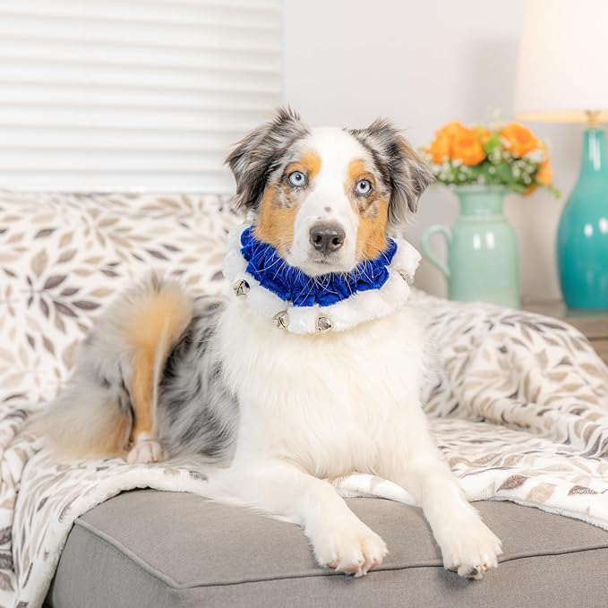 Huxley & Kent Ruff Pet Scrunchy | Hanukkah (Small) | Festive Christmas/Holiday Neckwear for Dogs/Cats | Fun Stretchable Costume Accessory | Soft Collar with Bells