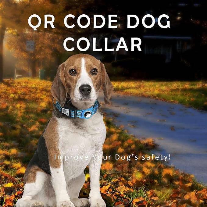 Reflective Dog Collar with Apple AirTag Holder & QR Code Pet ID Tag,Soft Nylon Adjustable Dog Tracker Collar with Safety Lock for Large Dogs(Blue, L(16"-26"))