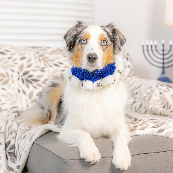 Huxley & Kent Ruff Pet Scrunchy | Hanukkah (Small) | Festive Christmas/Holiday Neckwear for Dogs/Cats | Fun Stretchable Costume Accessory | Soft Collar with Bells