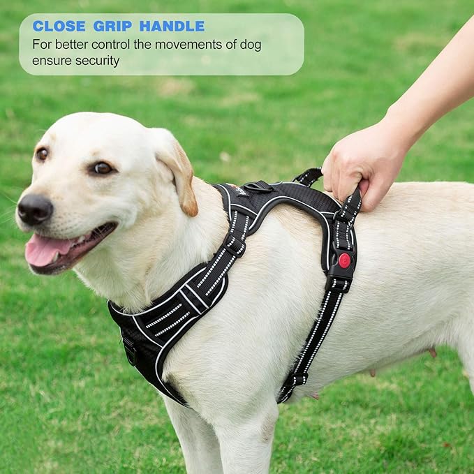 No Pull Dog Harness Adjustable Reflective Oxford Easy Control Medium Large Dog Harness with A Free Heavy Duty 5ft Dog Leash (M (Neck: 14.5"-20.5", Chest: 22"-28"), Purple Harness+Leash)