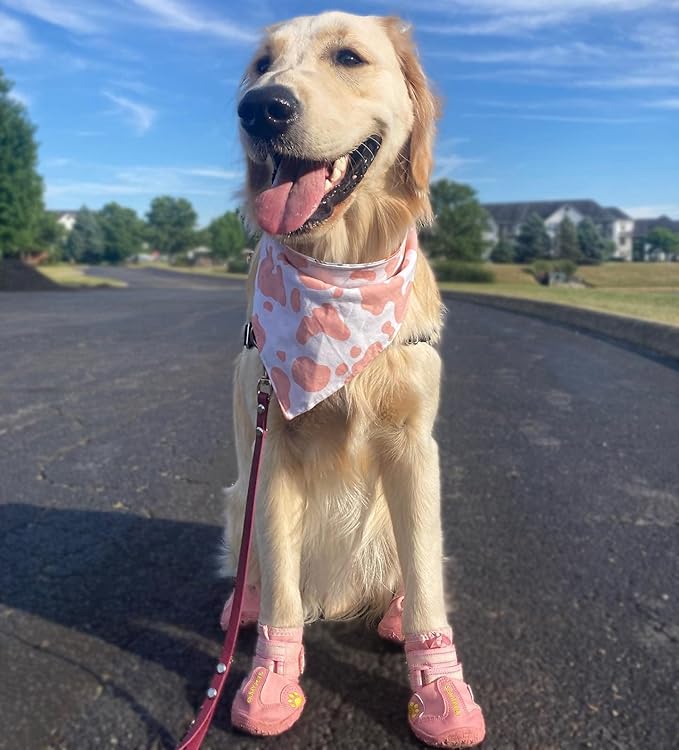 QUMY Dog Shoes for Large Dogs, Medium Dog Boots & Paw Protectors for Winter Snowy Day, Summer Hot Pavement, Waterproof in Rainy Weather, Outdoor Walking, Indoor Hardfloors Anti Slip Sole Pink 1