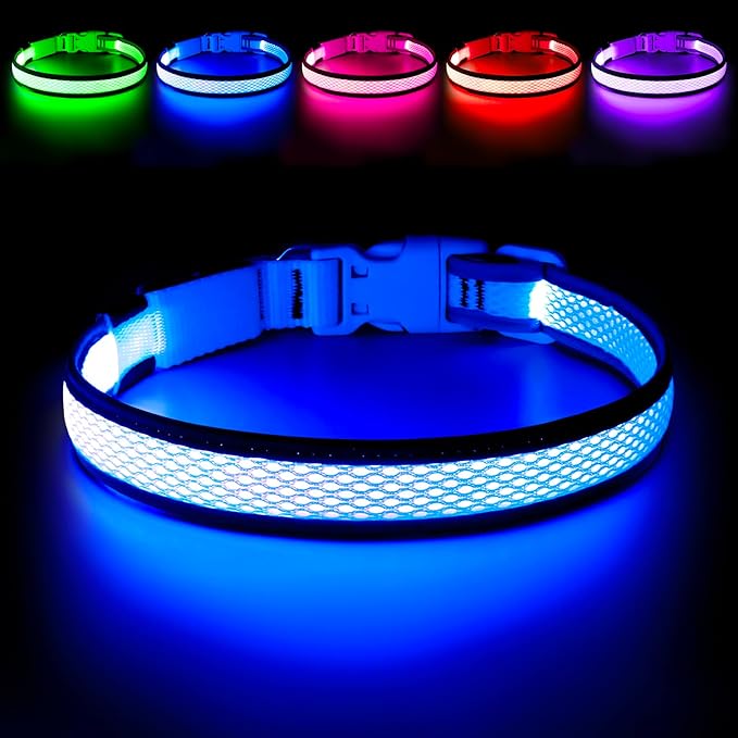 LED Dog Collar, Light Up Dog Collar USB Rechargeable, Brightest Dog Lights for Night Walking, Adjustable Dog Collar Light for Dog Safety(Small, Royal Blue)