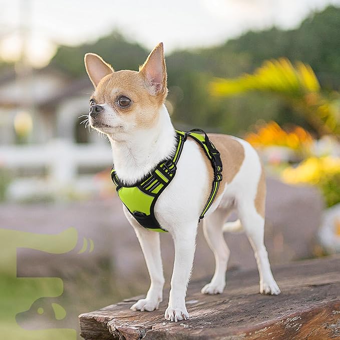 Eagloo Small Dog Harness No Pull, Service Vest with Reflective Strips and Control Handle, Adjustable and Comfortable for Walking, No Choke Pet Harness with 2 Metal Rings, Green, XS