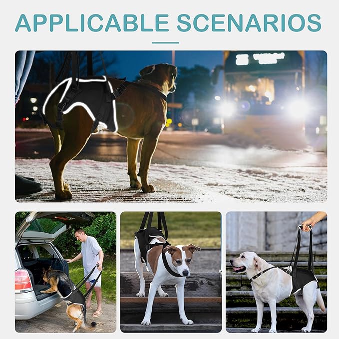 Dog Lift Harness for Extra Large Dogs – Hind Leg Support with Chest Stabilizer Straps, Adjustable Elastic and Buckles, Helps with Hip Dysplasia, Joint Pain, and Mobility, Easy to Wear, XL