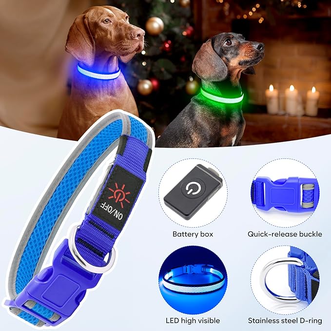 LED Dog Collar, Light Up Dog Collar USB Rechargeable, Brightest Dog Lights for Night Walking, Adjustable Dog Collar Light for Dog Safety(Small, Royal Blue)