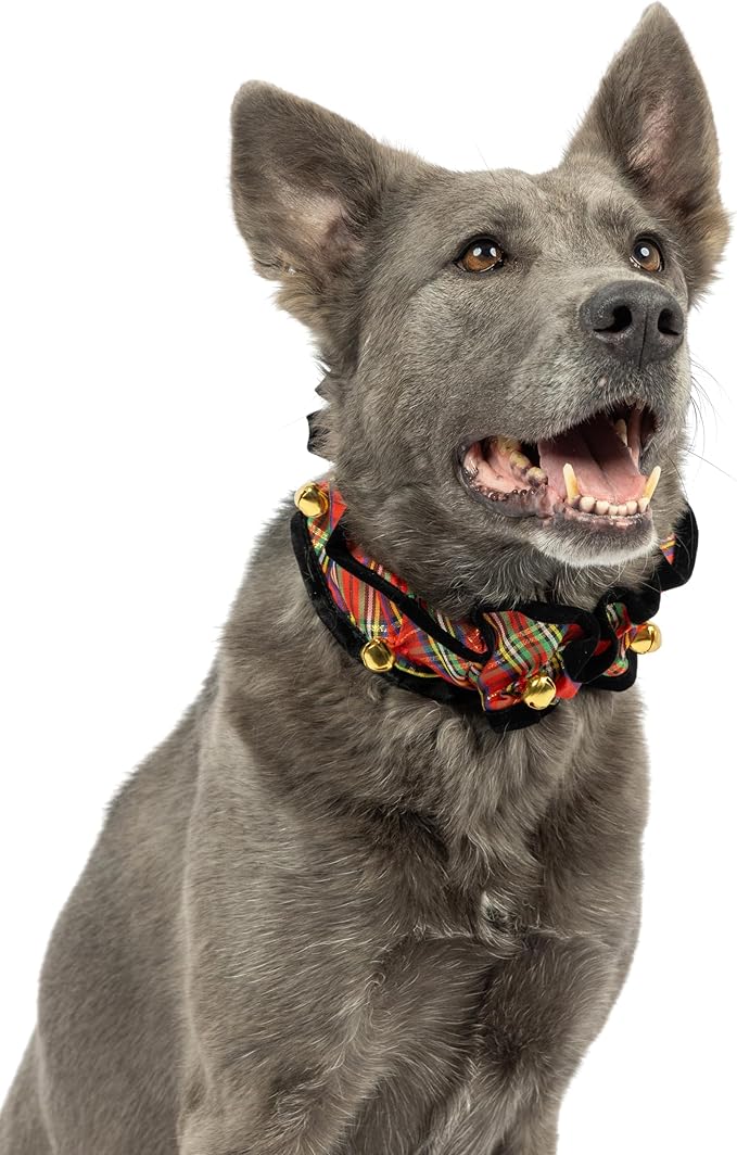 Huxley & Kent Ruff Pet Scrunchy | Shiny Christmas Plaid (Extra-Large) | Festive Christmas/Holiday Neckwear for Dogs/Cats | Fun Stretchable Costume Accessory | Soft Collar with Bells