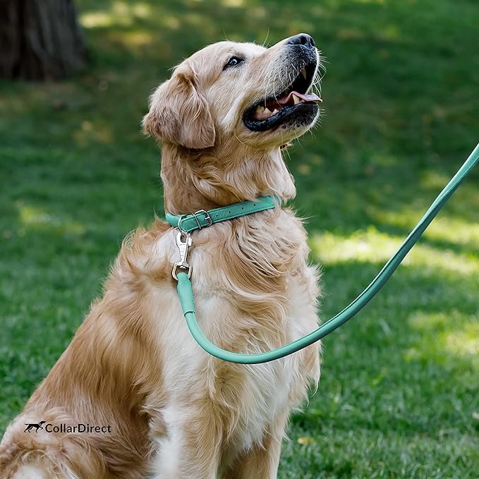 CollarDirect Rolled Leather Dog Collar, Soft Padded Round Puppy Collar, Handmade Genuine Leather Collar Dog Small Large Cat Collars 13 Colors (8-11 Inch, Mint Green Textured)