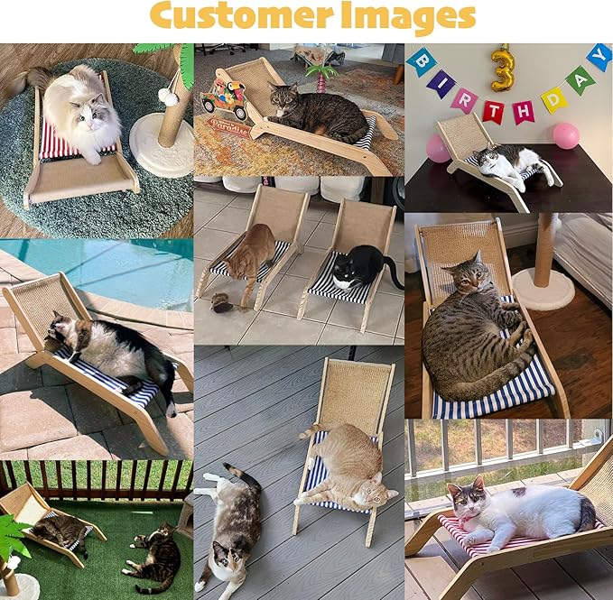 PETKARAY Cat Scratching Post with Cat Beach Chair, 36" Tall Palm Tree Cat Scratching Post, Large Sisal Cat Scratcher for Indoor Kittens