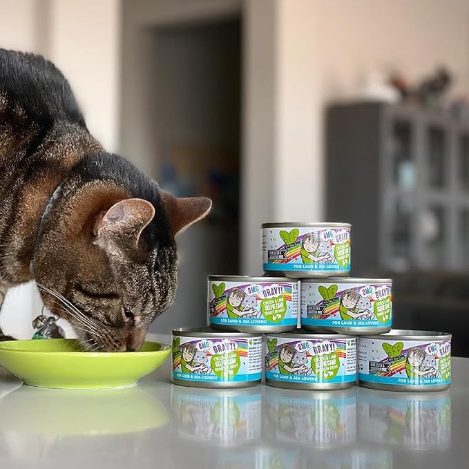 Weruva B.F.F. OMG - Best Feline Friend Oh My Gravy! Grain-Free Wet Cat Food Cans, QT Patootie! Chicken & Turkey, 2.8 oz Can (Pack of 12)