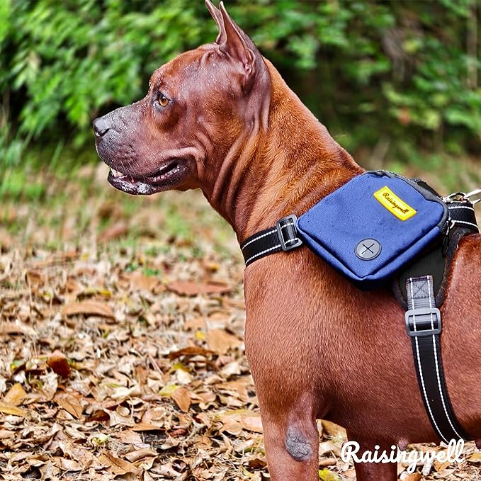 Dog Treat Pouch for Pet Walking and Training with Clicker Poop Bags Small Fanny Zipper Pack Holder for Puppy Snack Dispenser Kit for Leash and Outdoor Use (Blue)