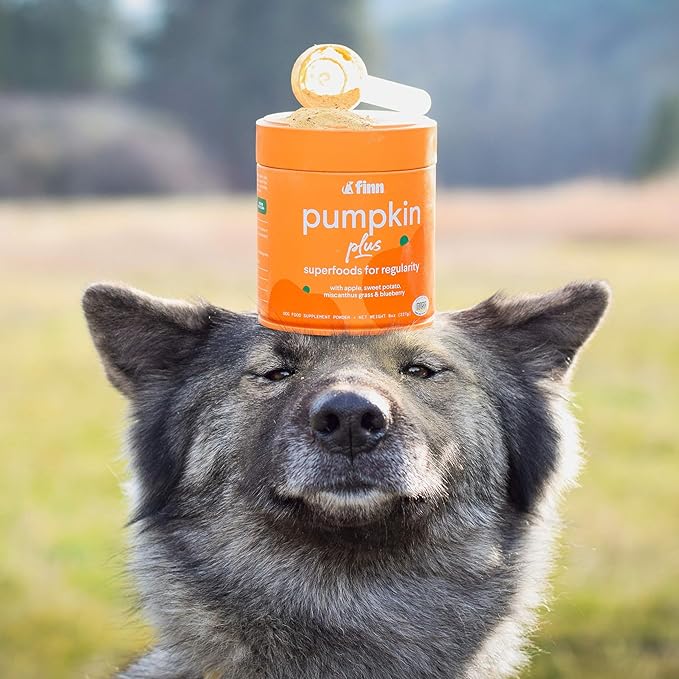 Finn Pumpkin Plus: Daily Digestive Support & Fiber-Rich Topper for Dogs | Promotes Regularity & Gut Health with Superfoods