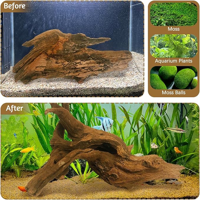 kathson Natural Driftwood for Aquarium Decor, 3-Piece 9''-15'' Large Driftwood for Decorations on Fish Tank, Reptiles Bearded Dragon Terrarium Ornament Accessories or Air Plants