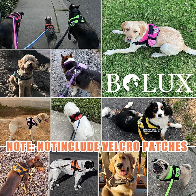 Bolux Dog Harness, No-Pull Reflective Dog Vest, Breathable Adjustable Pet Harness with Handle for Outdoor Walking - No More Pulling, Tugging or Choking (XX-Large (Pack of 1), YellowOrange)