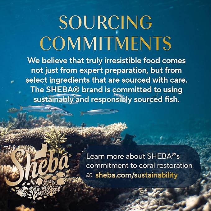 Sheba Perfect Portions Wet Cat Food Cuts in Gravy Variety Pack, Roasted Chicken Entree, with Sustainable Salmon, 2.6 oz. Twin-Pack Trays (18 Count, 36 Servings) (Pack of 2)
