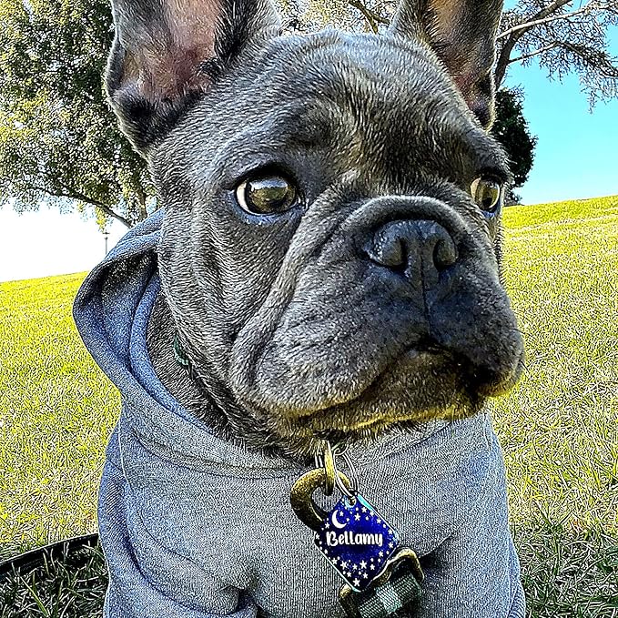 Personalized Dog Tag with 5 Lines of Custom Deep Engraved Durable Stainless Steel Pet ID Name Tag Designer Regular Size Diamond