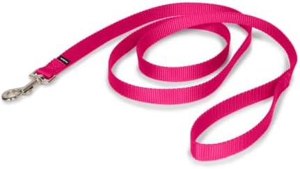 PetSafe Nylon Dog Leash by PetSafe