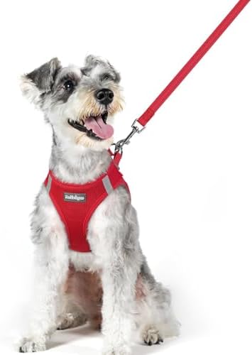 rabbitgoo Dog Harness Medium Sized and Leash Set, Step-in Puppy Pet Vest by rabbitgoo