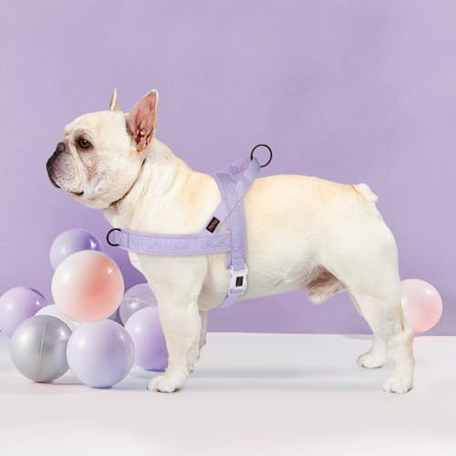 Didog No Pull Dog Harness with Breathable Mesh Padded, Quick Fit and Easy on - Image 2