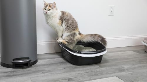 Arm and Hammer Large Sifting Cat Litter Box - Image 2