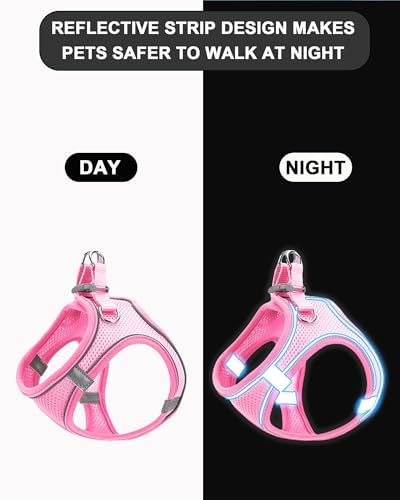 XXXS Red Soft Mesh Dog Harness and Leash Set, No Escape Puppy Harnesses - Image 3