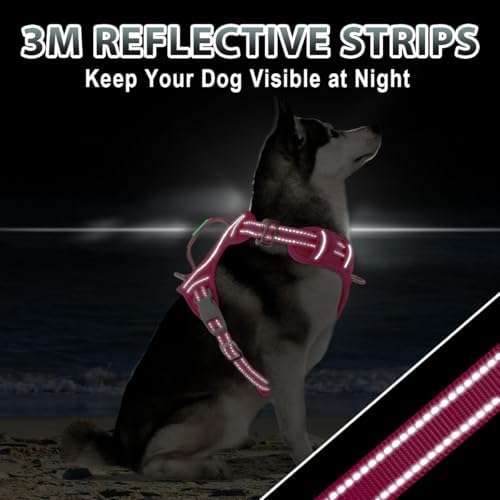 BARKBAY Dog Harness for Large Dogs No Pull Dog Vest ID Tag Pocket - Image 6
