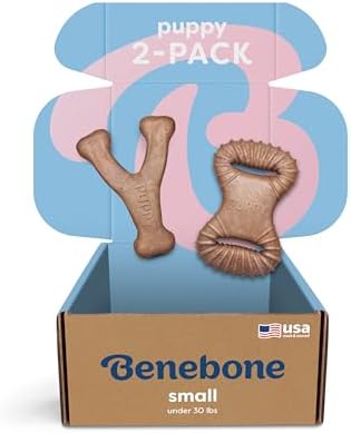 Benebone Puppy 2-Pack Dental Chew/Wishbone Dog Chew Toys, Real Bacon by Benebone