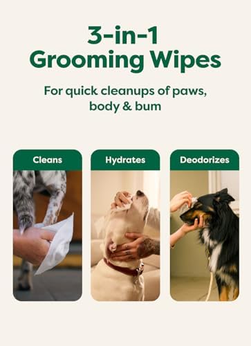 Earth Rated Dog Wipes for Paws & Butt, Deodorizing - Image 3