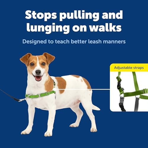 PetSafe Easy Walk Harness for Dogs - Image 3