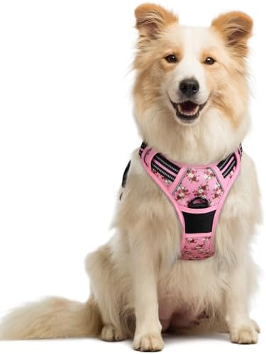 rabbitgoo Dog Harness, No Pull Medium Sized by rabbitgoo