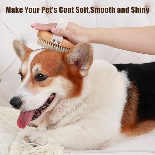 Soft Boar Bristle Pet Palm Brush - Image 3