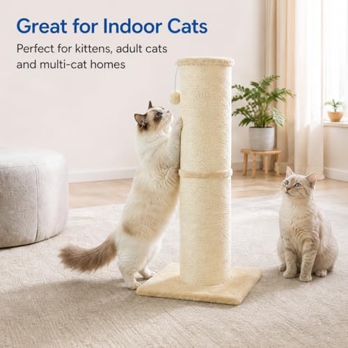 Cat Scratching Post with 5.5 Inch Diameter Sisal Post, 32 Inch - Image 6