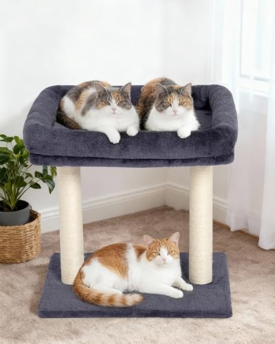 19" Small Cat Tree with Scratching Post - Image 6