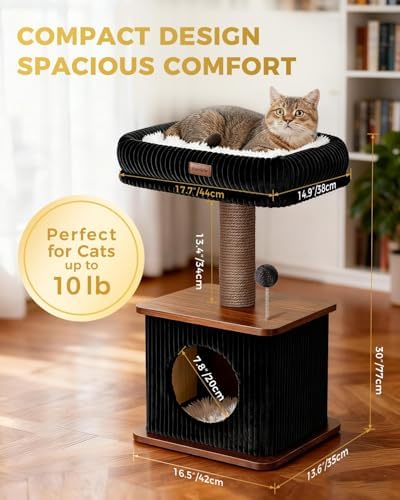 Small Cat Tree for Indoor Kittens - Image 2