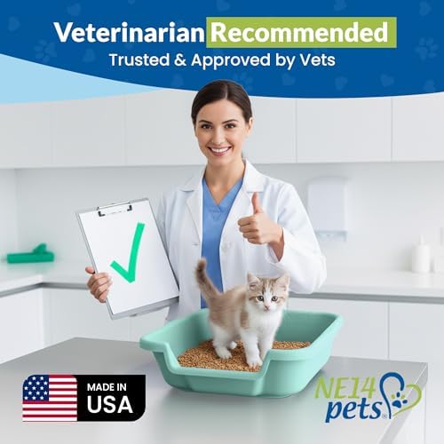 KittyGoHere Senior Cat Litter Box, Small Litter Pan, Apple Green - Image 4