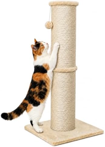PAWSCRAT 32-Inch Tall Cat Scratching Post, 5.5-Inch Diameter by PAWSCRAT