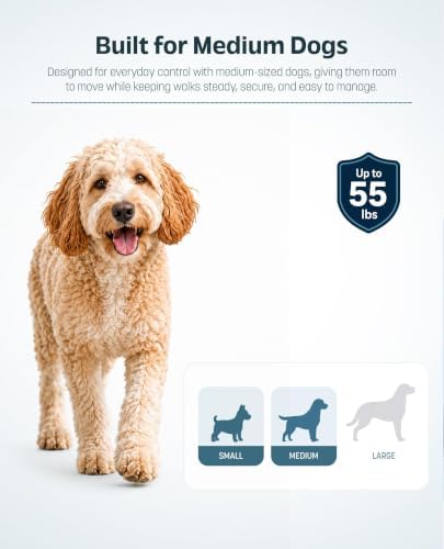 Hands-Free Retractable Dog Leash - Image 5