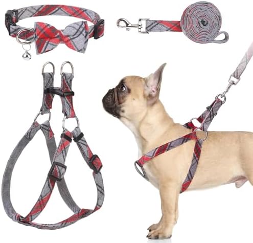 BINGPET No Pull Dog Harness Leash Collar Set, Adjustable Step-in Vest by BINGPET