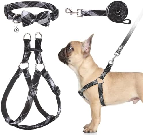 BINGPET No Pull Dog Harness Leash Collar Set, Adjustable Step-in Vest by BINGPET