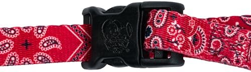 Country Brook Petz - Image 5