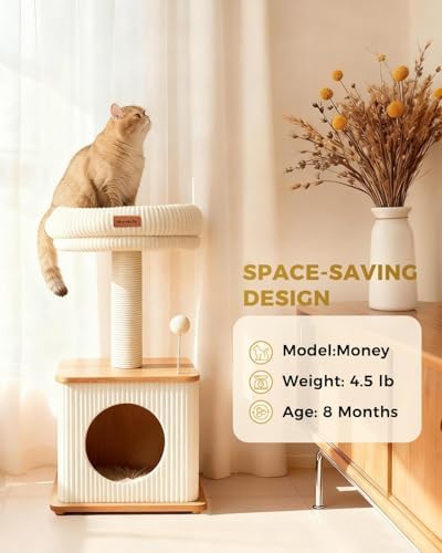 Small Cat Tree for Indoor Kittens - Image 5