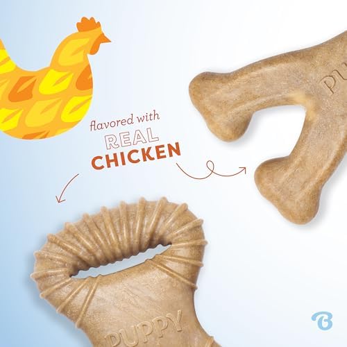 Benebone Puppy 2-Pack Dental/Wishbone Dog Chew Toys, Real Chicken - Image 2